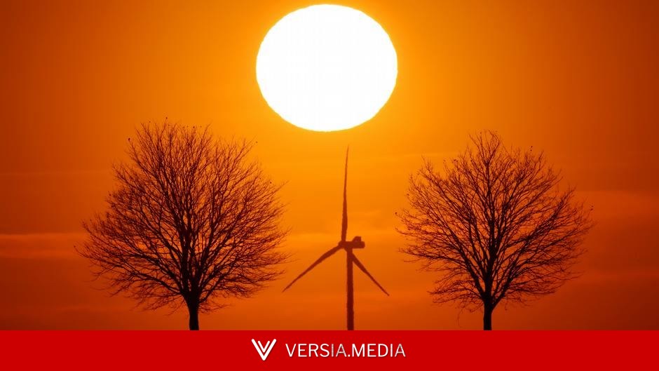 Environment wins of the week — World News | Versia.media