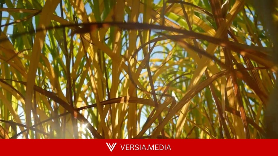 Creative climate messaging and other eco wins of the week