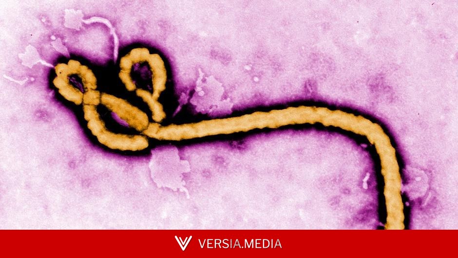 France reports first Congo outbreak linked Ebola case