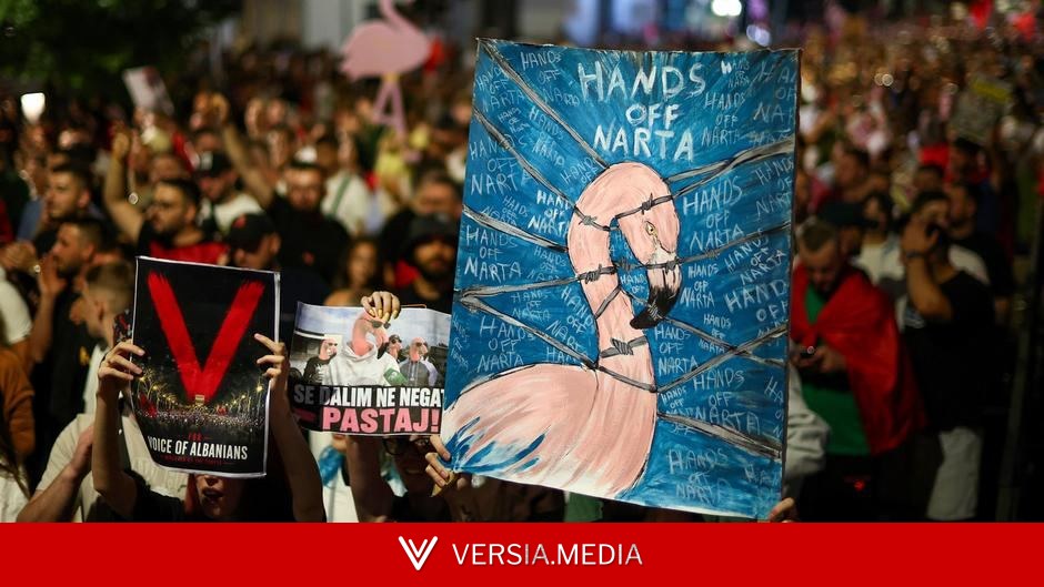 Albania's 'Flamingo Revolution': What's behind the protests?