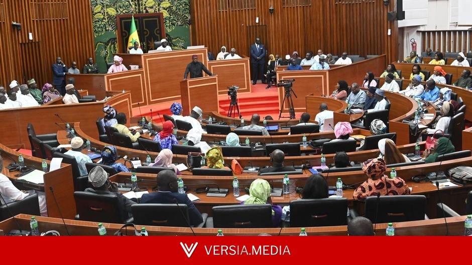 Senegal's power struggle: Referendum to decide on constitutional reform