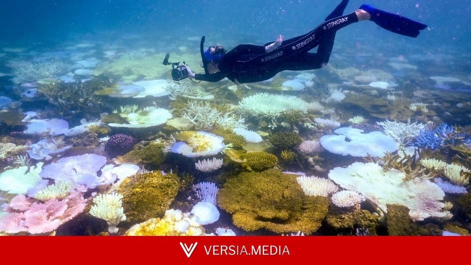 Australia's Great Barrier Reef again avoids 'in danger' label
