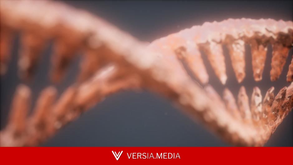 DNA had one rule. Bacteria didn't get the memo — World News | Versia.media
